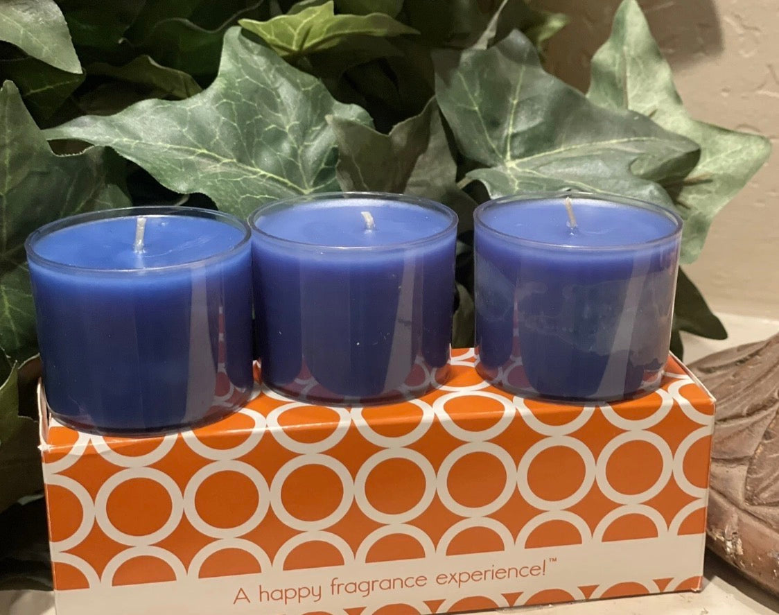 GOLD CANYON Blueberry Himalayan Salt VoLights New 3 Pack Votive