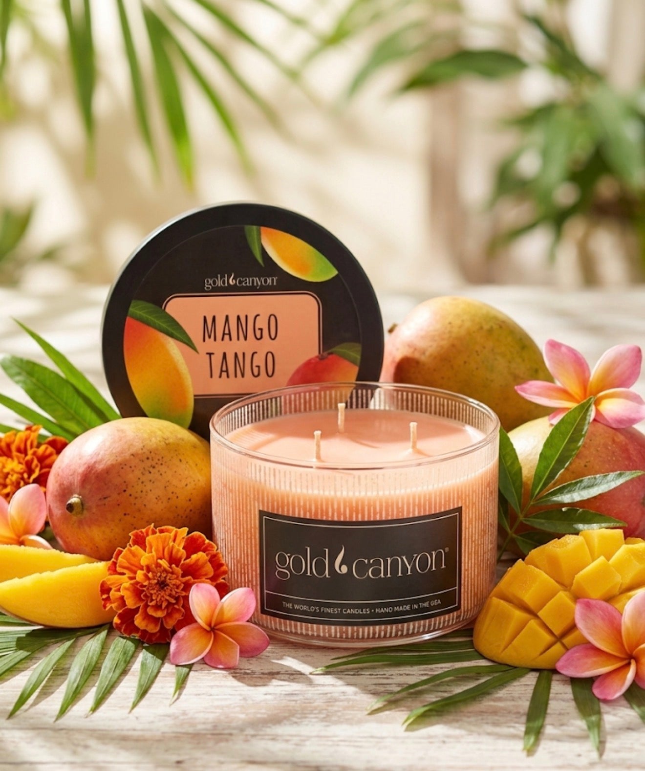 Mango Tango 10oz Gold Canyon Candle (