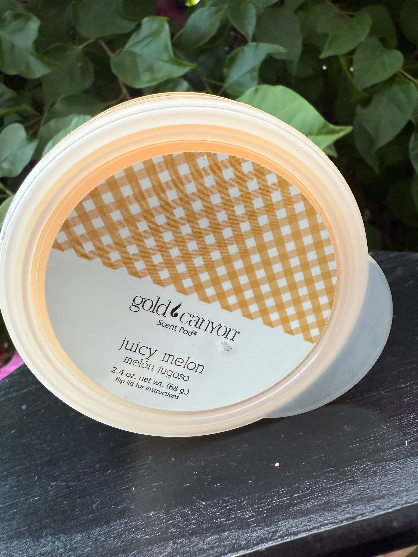Juicy Melon~Gold Canyon Scent Pod Wax Melt • 2.4oz.