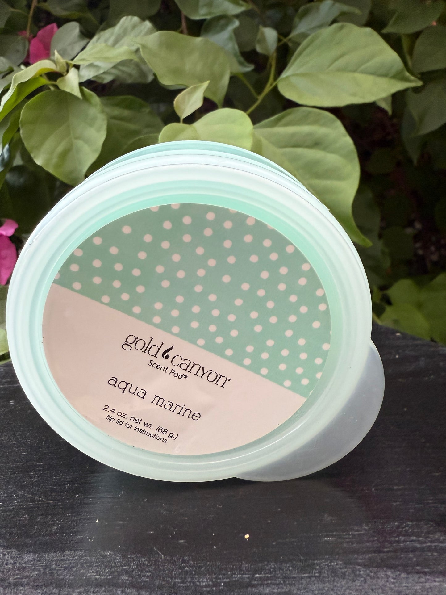 Aqua Marine~Gold Canyon Scent Pod Wax Melt • 2.4oz.