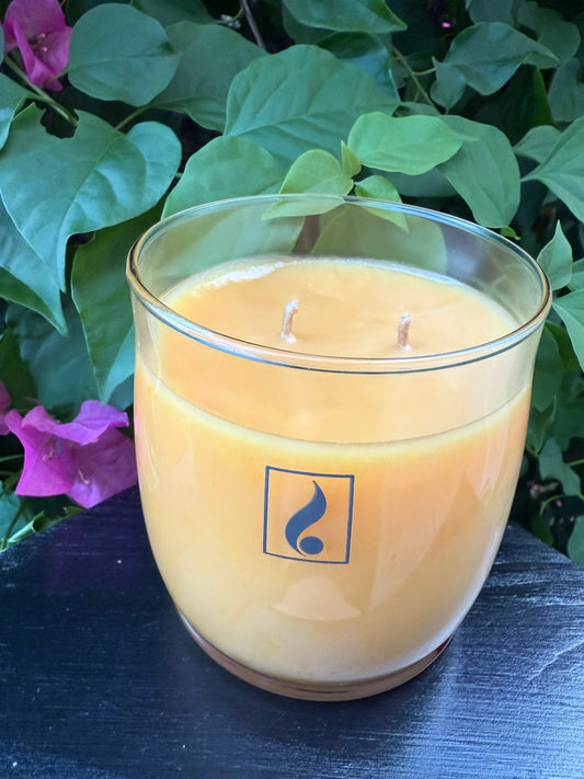 Cinnamon Vanilla Bella 16oz Gold Canyon Candle