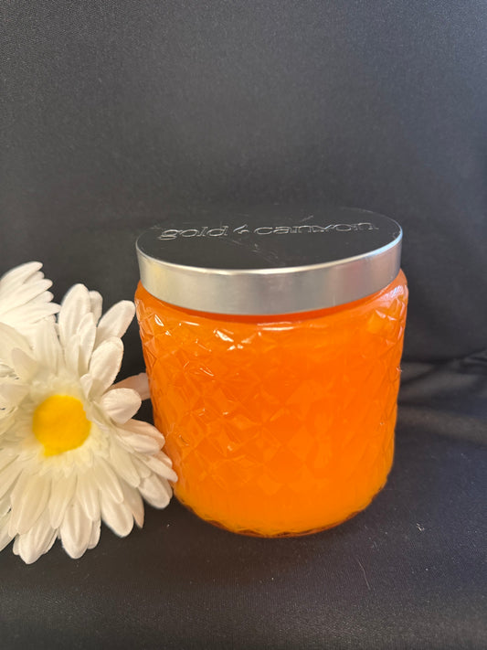 Citrus Grove~16oz Gold Canyon Candle