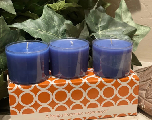 GOLD CANYON Blueberry Himalayan Salt VoLights New 3 Pack Votive