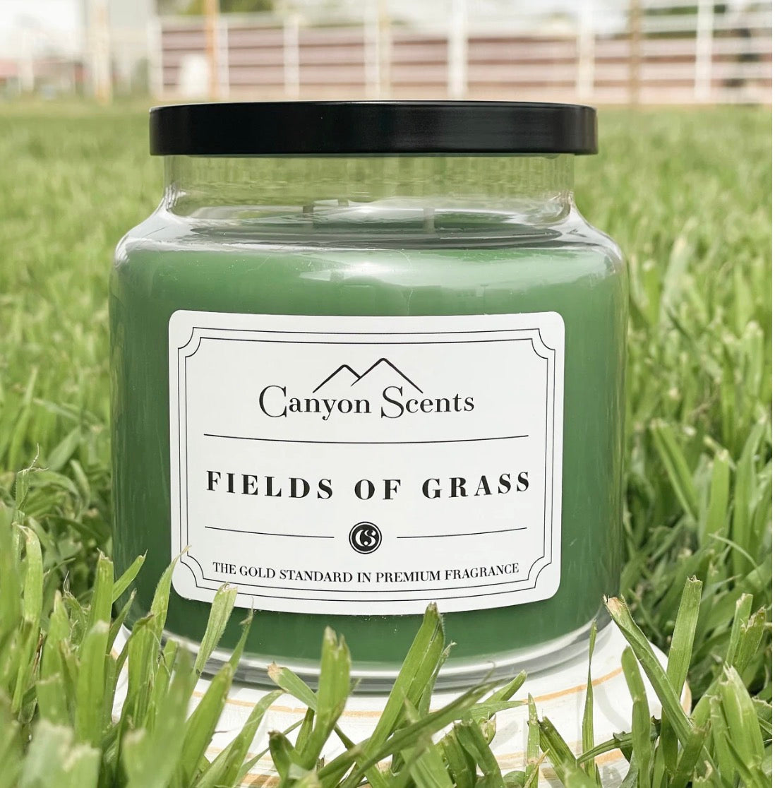 Fields of Grass~16 Med
