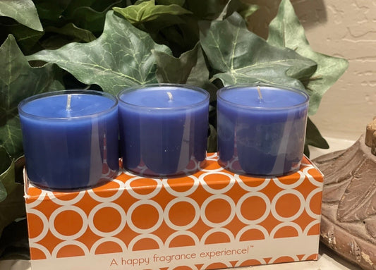GOLD CANYON Blueberry Himalayan Salt 🫐 VoLights New 3 Pack Votive