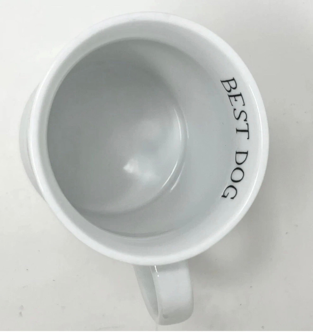 English Bulldog Mug Best Dog By Julianna Swaney.