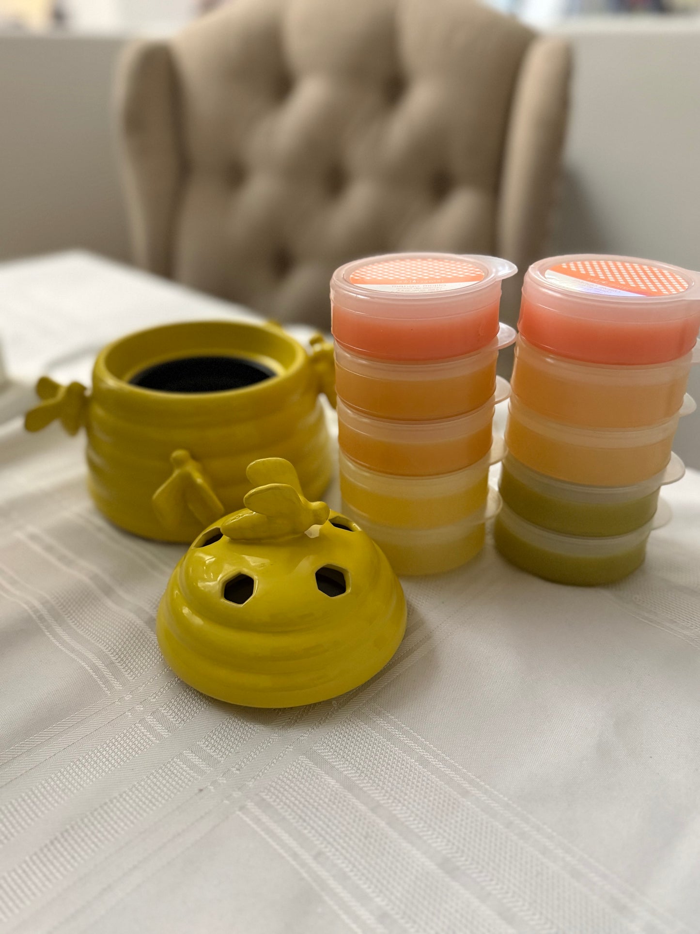 Gold Canyon Candle Bee Hive Warmer Bundle Set