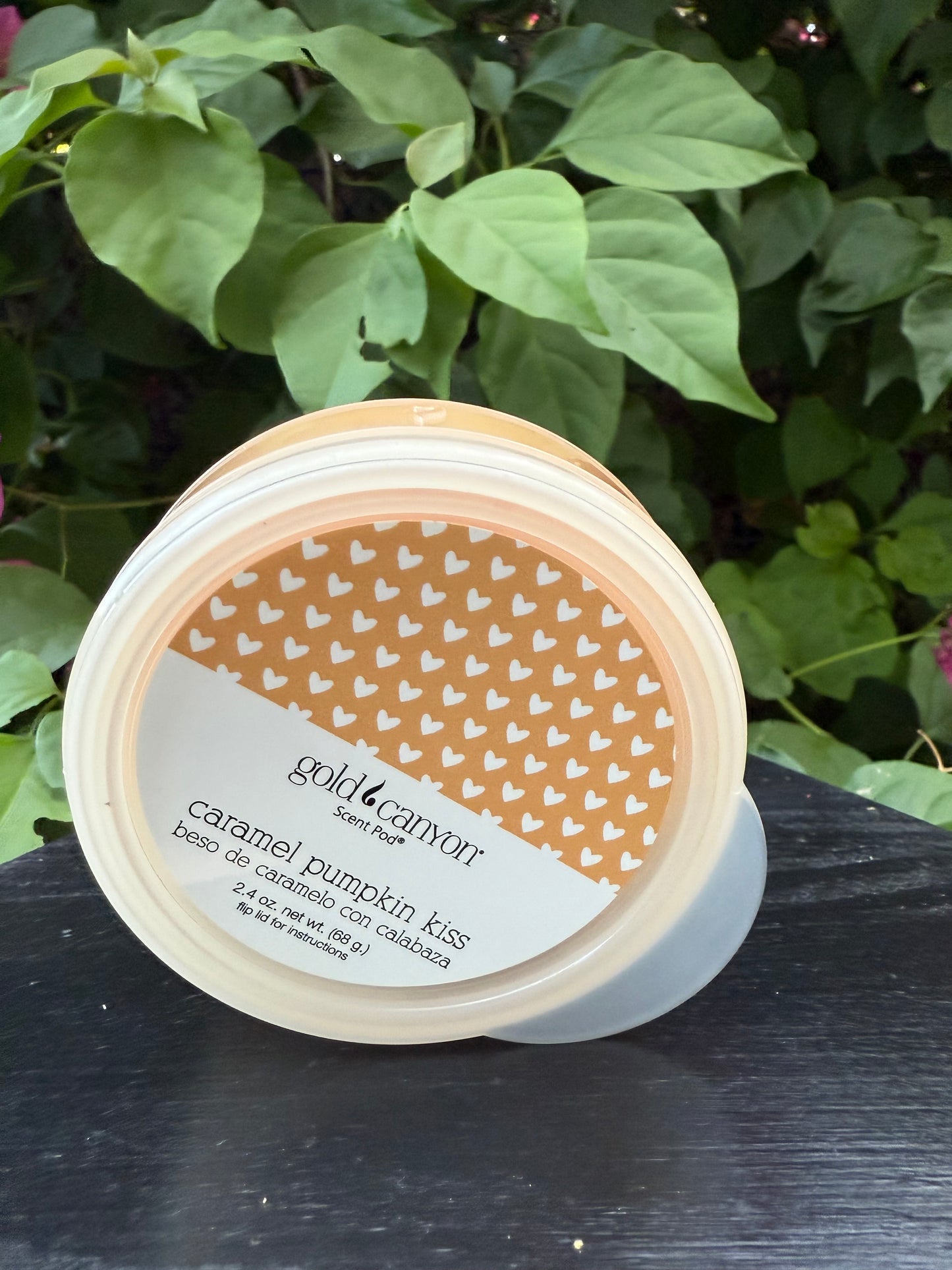 Caramel Pumpkin Kiss~Gold Canyon Scent Pod Wax Melt • 2.4oz.