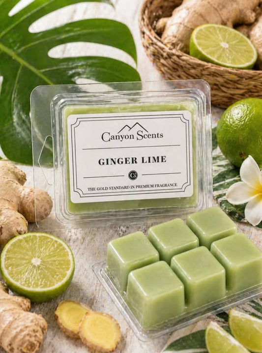 Ginger Lime- Scent Cubes