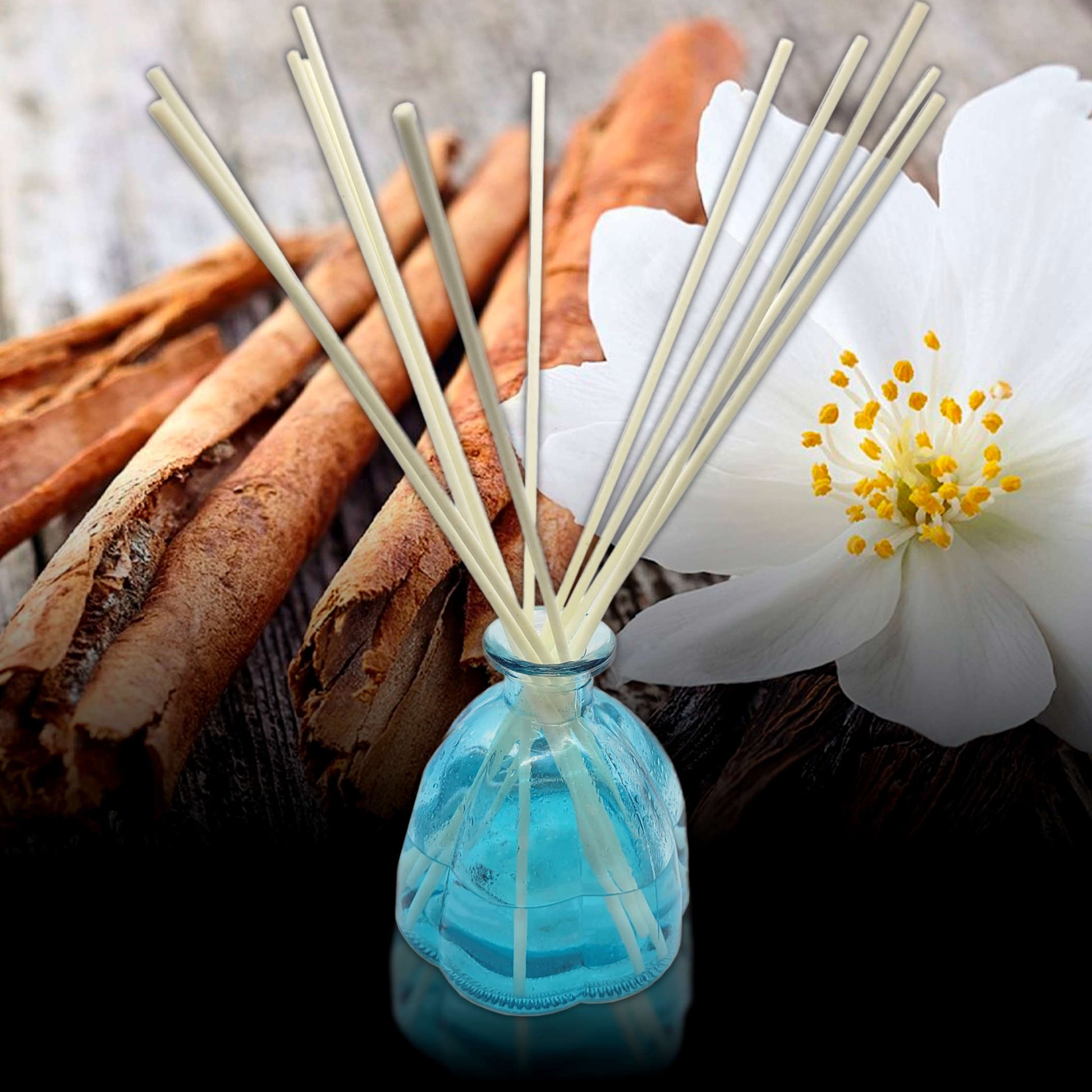 Cinnamon Vanilla Scent Sticks Diffuser and Oil